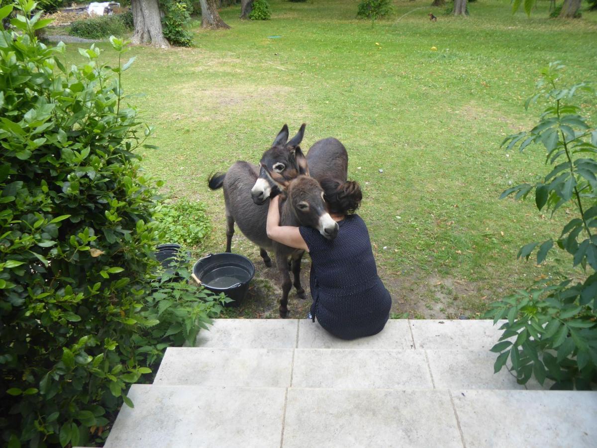 Bed and Breakfast L'Ame Des Hospitaliers Courteuil Екстер'єр фото